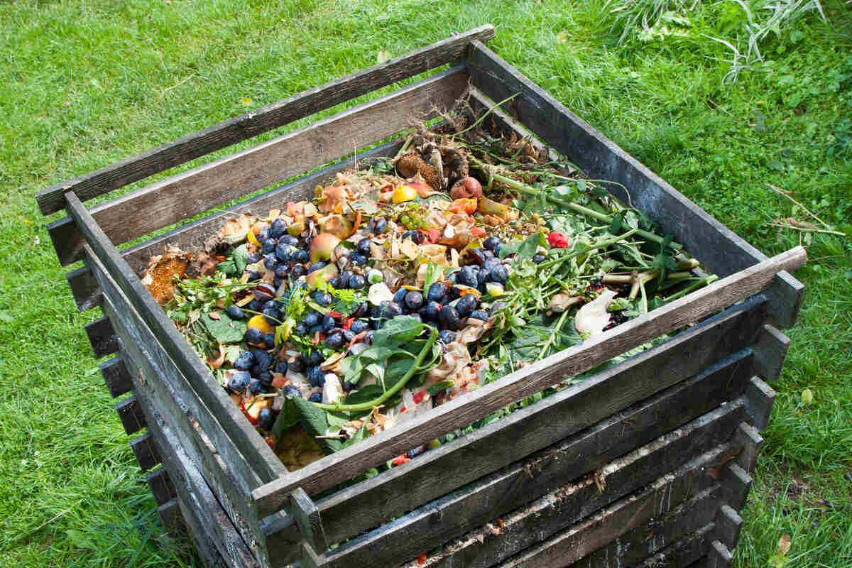 The Journey of Food Waste from Kitchen to Compost